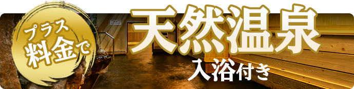 プラス料金で天然温泉入浴付き